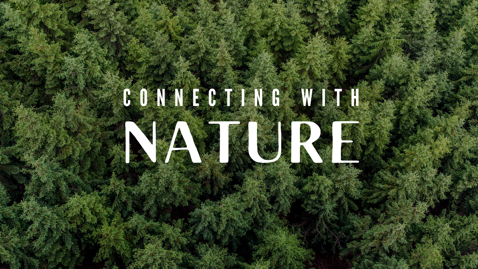 Connecting with Nature