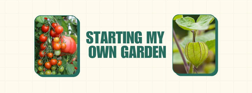 Starting my own garden